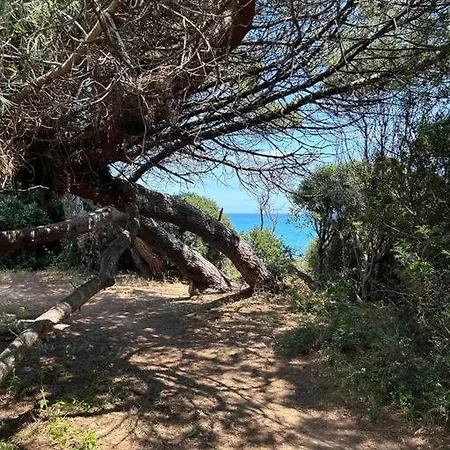 Appartement, 60m2, 6 Couchages Avec Piscines à Marine De Bravone, Linguizetta, Résidence Sognu Di Mare Corse