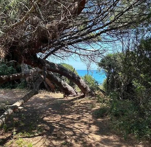 Appartement, 60m2, 6 Couchages Avec Piscines à Marine De Bravone, Linguizetta, Résidence Sognu Di Mare Corse