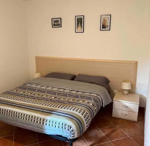 Appartement, 60m2, 6 Couchages Avec Piscines A Marine De Bravone, Linguizetta, Sognu Di Mare Corse Daire